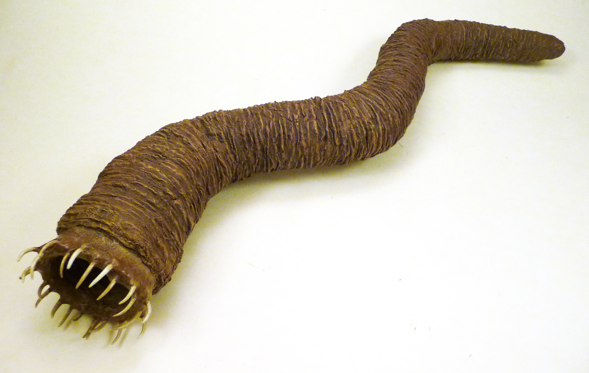 Mongolian Death Worm Gaff Gravedigger's Local 16